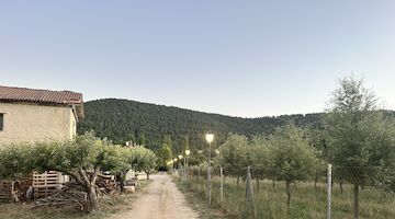 La Trufa Madre Castilla La Mancha 2025
