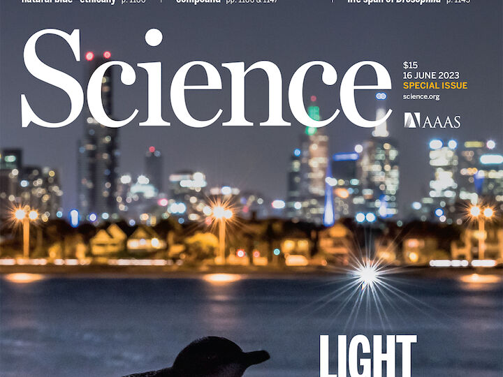 Science magazine publishes an article by the director of the Starlight Foundation on the effects of light pollution on astronomy